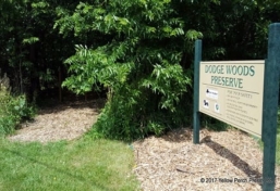 Photo of Put-in-Bay Attractions Dodge Woods Preserve