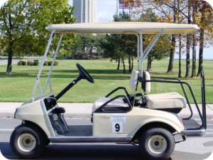 4 Person Golf Cart Rentals - A photo of an 4 person golf cart with the Perry's Monument in the background.